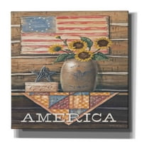 Epic Graffiti 'Rustic America' от Pam Britton, Canvas Wall Art, 18 x26