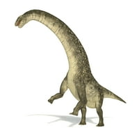 Titanosaurus dinosaur на бял фон с отпечатък на плаката за капка сянка